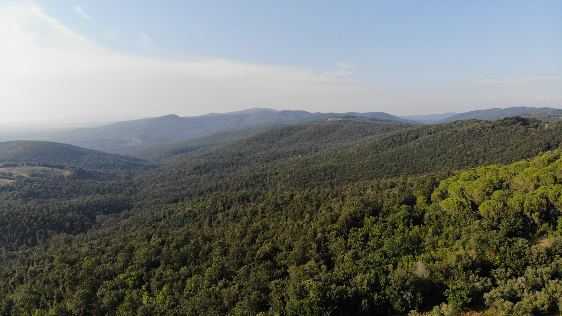 Aerial view of the Poggio Felice estate